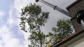 wegtakelen boom over het huis snoeien en roooien van bomen alles soorten van groot tot klein. hovenier